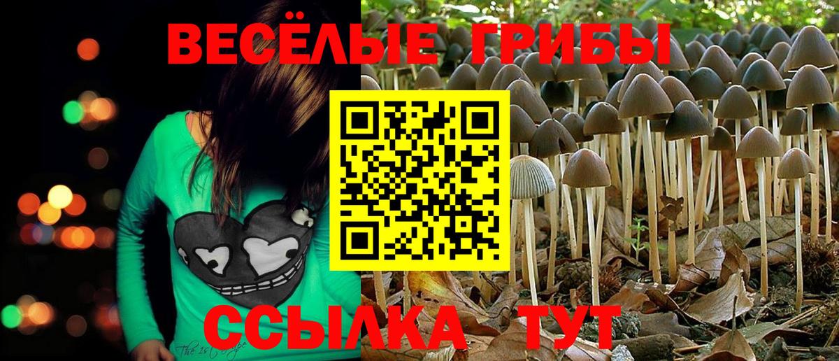 Старая Русса  Галлюциногенные грибы Cubensis  Галлюциногенные грибы Magic Shrooms  Вход с VPN 